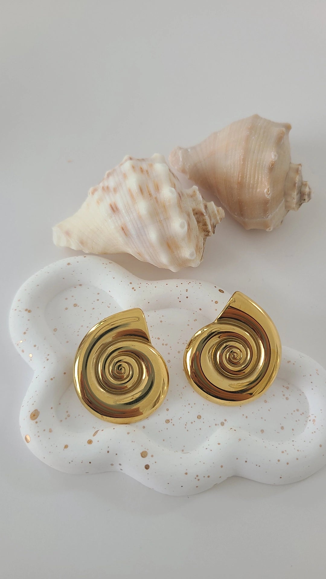 Ammonite Earings